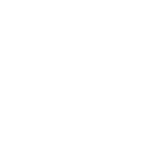 https://zrud.ir/wp-content/uploads/2018/05/gemini.png
