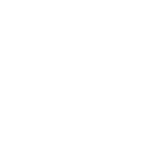 https://zrud.ir/wp-content/uploads/2018/05/leo.png