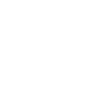 https://zrud.ir/wp-content/uploads/2018/05/taurus.png